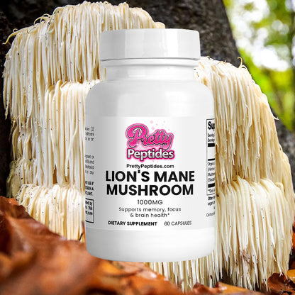 Lion's Mane Mushroom